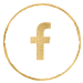 Social Media Icon